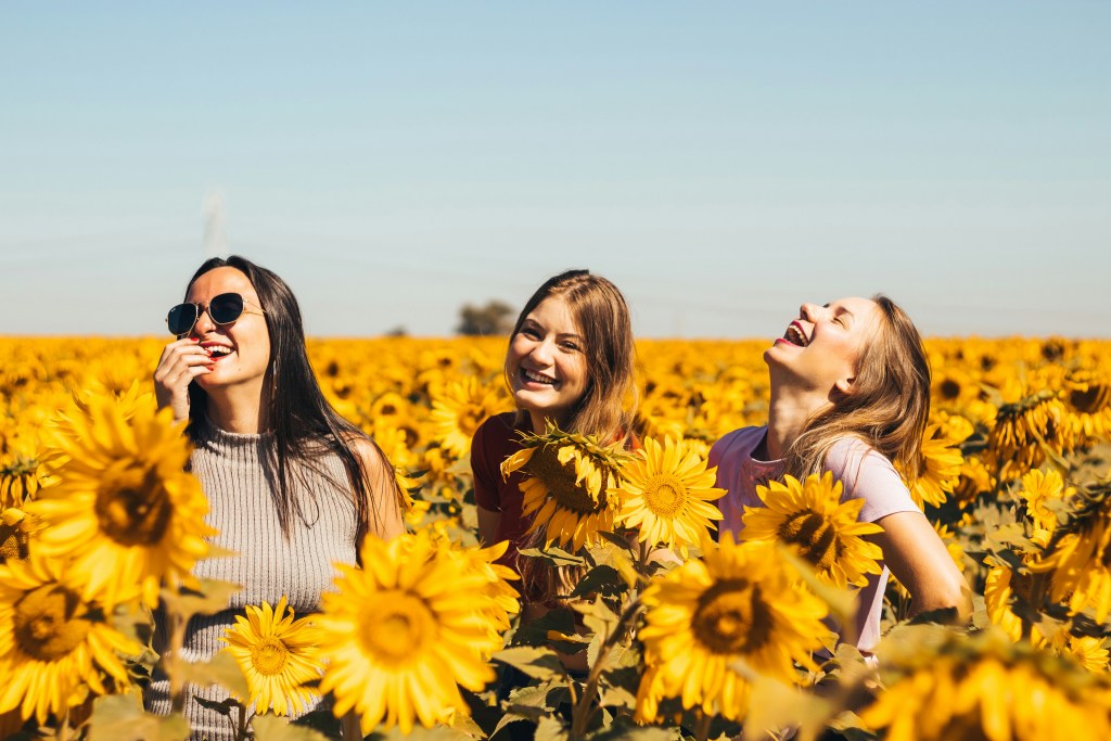 Three young women laughing and enjoying a sunny day in a vibrant sunflower field under a clear blue sky.